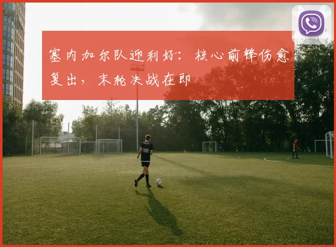 塞内加尔队迎利好：核心前锋伤愈复出，末轮决战在即