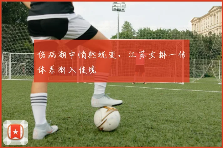 伤病潮中悄然蜕变，江苏女排一传体系渐入佳境